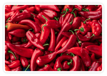 Andalusian Red Pepper — Capsaicin